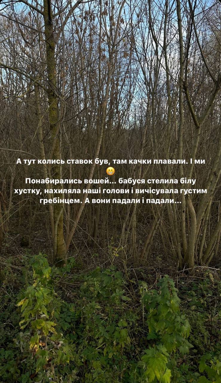 "Ми сумуємо за тобою". У родині Лесі Нікітюк сталося горе